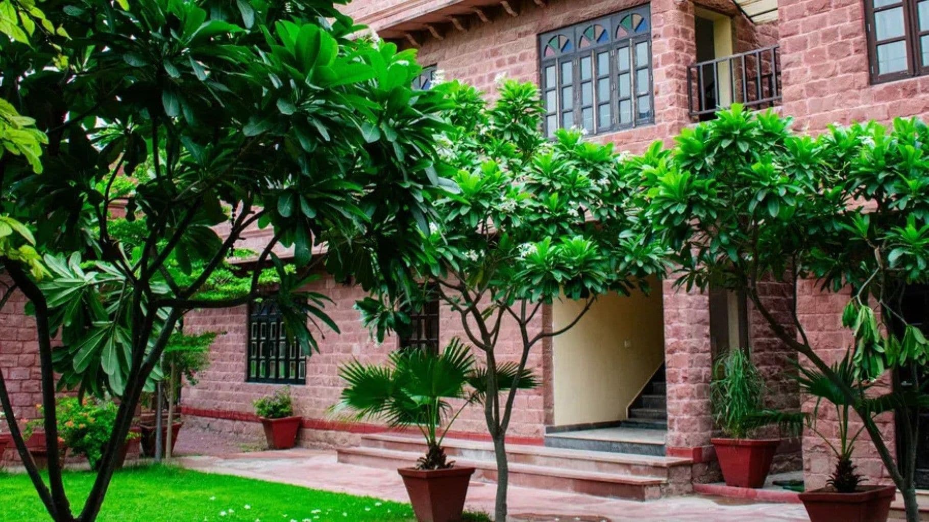 A building with a brick facade, a staircase leading to a door, and potted plants around the entrance.