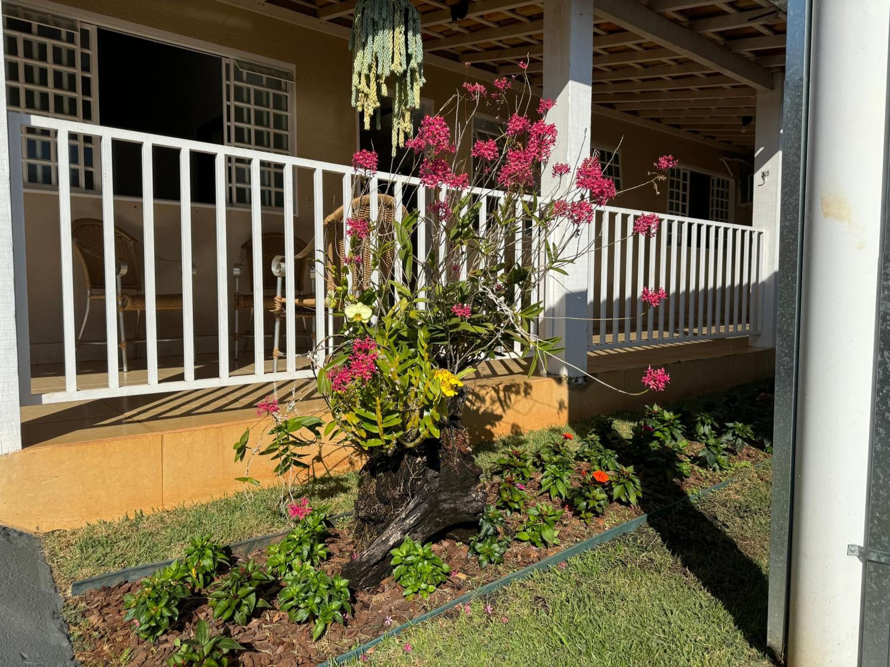 Área externa coberta com guarda-corpo branco, banco de madeira e diversas plantas e flores.