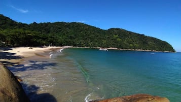 Uma praia com águas cristalinas, costa arenosa e uma colina arborizada ao fundo.