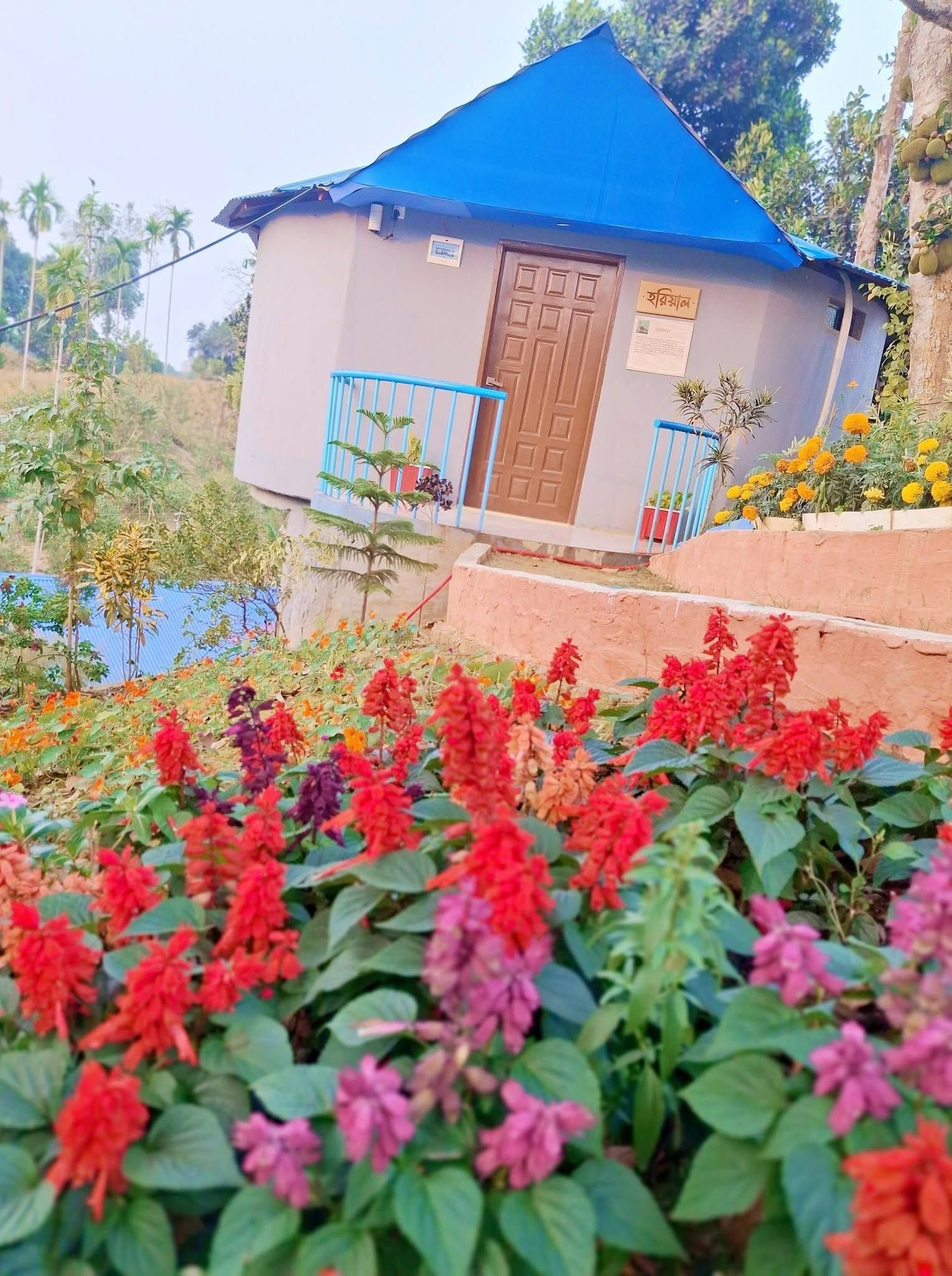 A small building with a blue roof and a door, surrounded by a garden with various flowers.