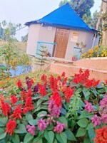 Um pequeno edifício com telhado azul e uma porta, rodeado por um jardim com várias flores.