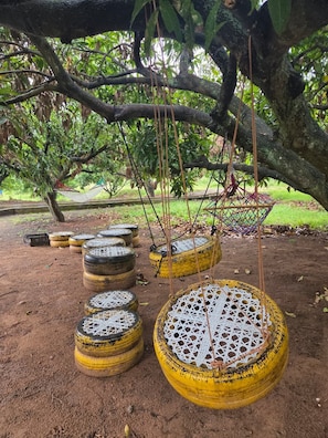 Outdoor swings made from tires under a tree.