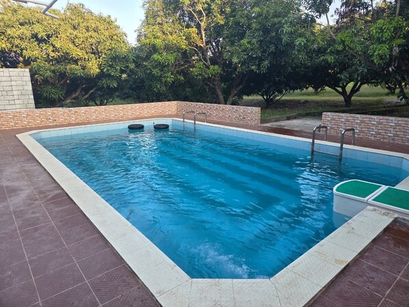 Pool - Mango Bite Farmstay (Pollachi)