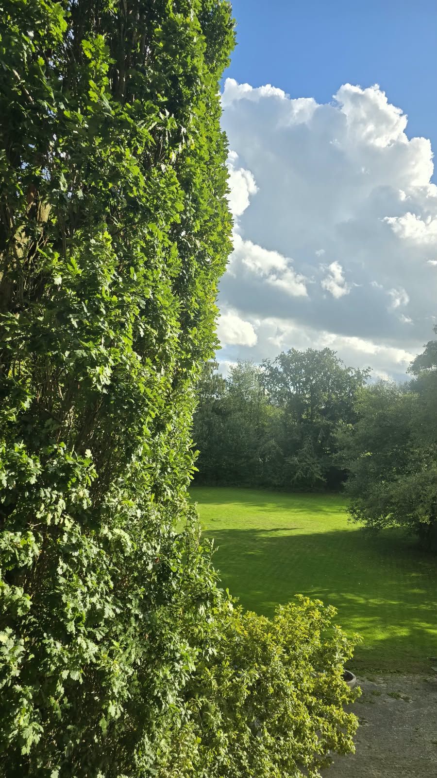 View from property