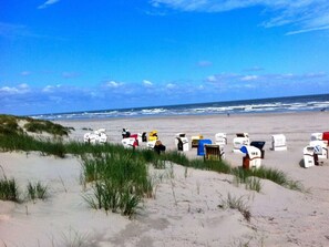 A sandy beach with rows of lifeguard chairs and flags. - Holiday Apartment in Juist With Swimming Pool (Juist)