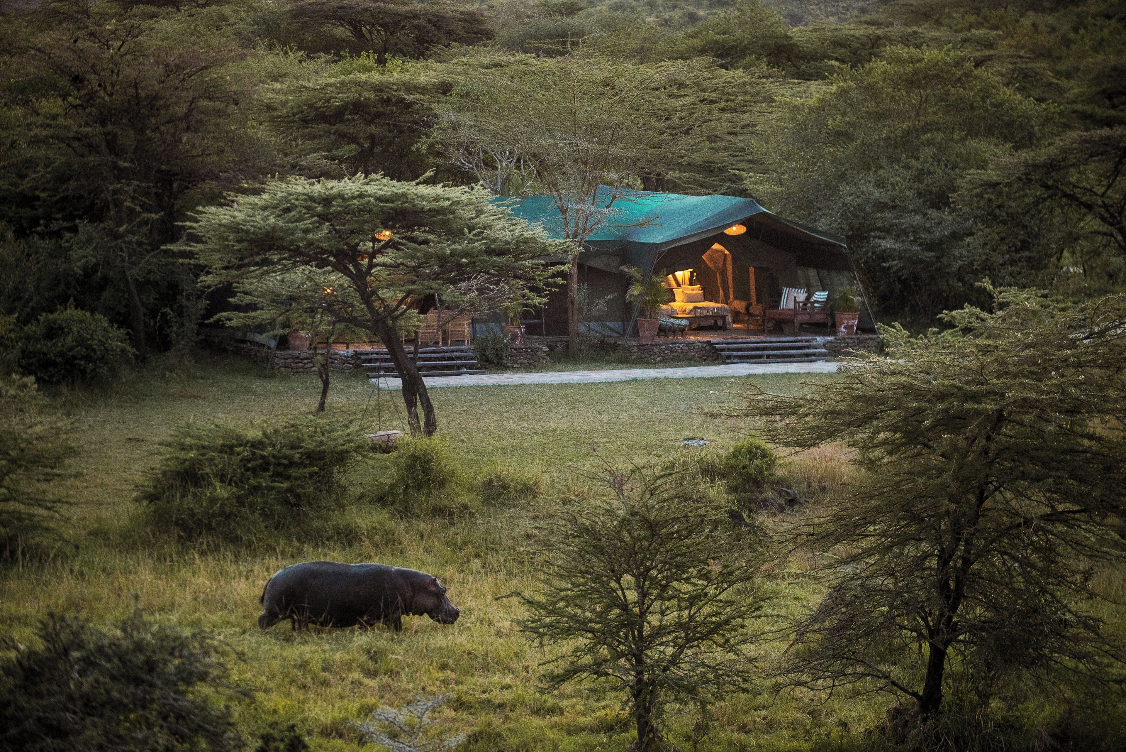 A lodge with a green roof, surrounded by trees and grass, with a hippo grazing nearby.