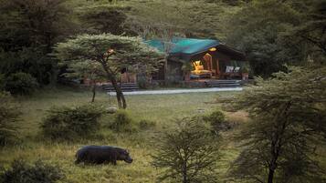A lodge with a green roof, surrounded by trees and grass, with a hippo grazing nearby.