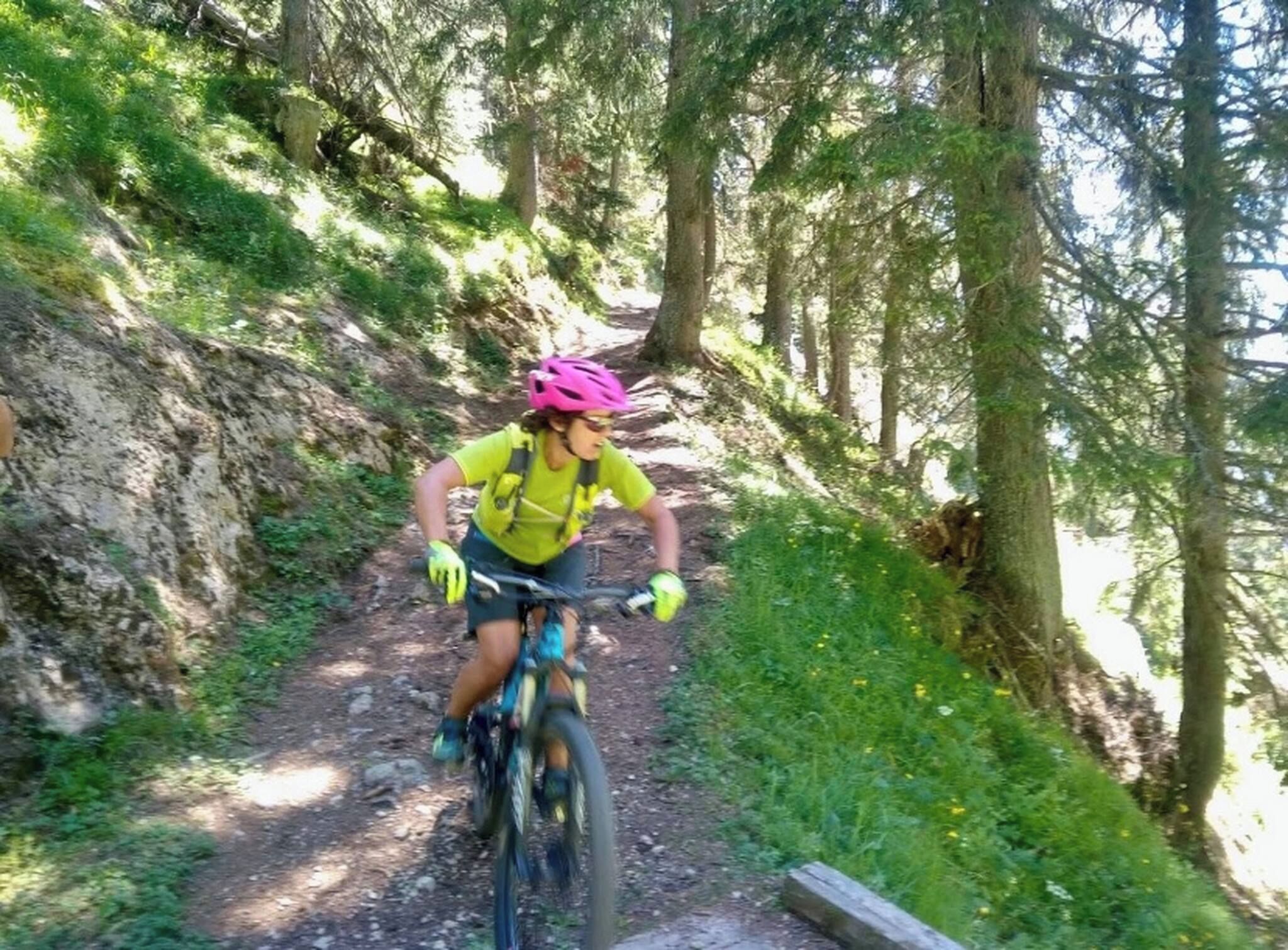Une personne à vélo sur un sentier forestier.