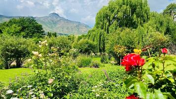 A garden with a variety of flowers, a prominent weeping willow tree, and a mountain in the background.