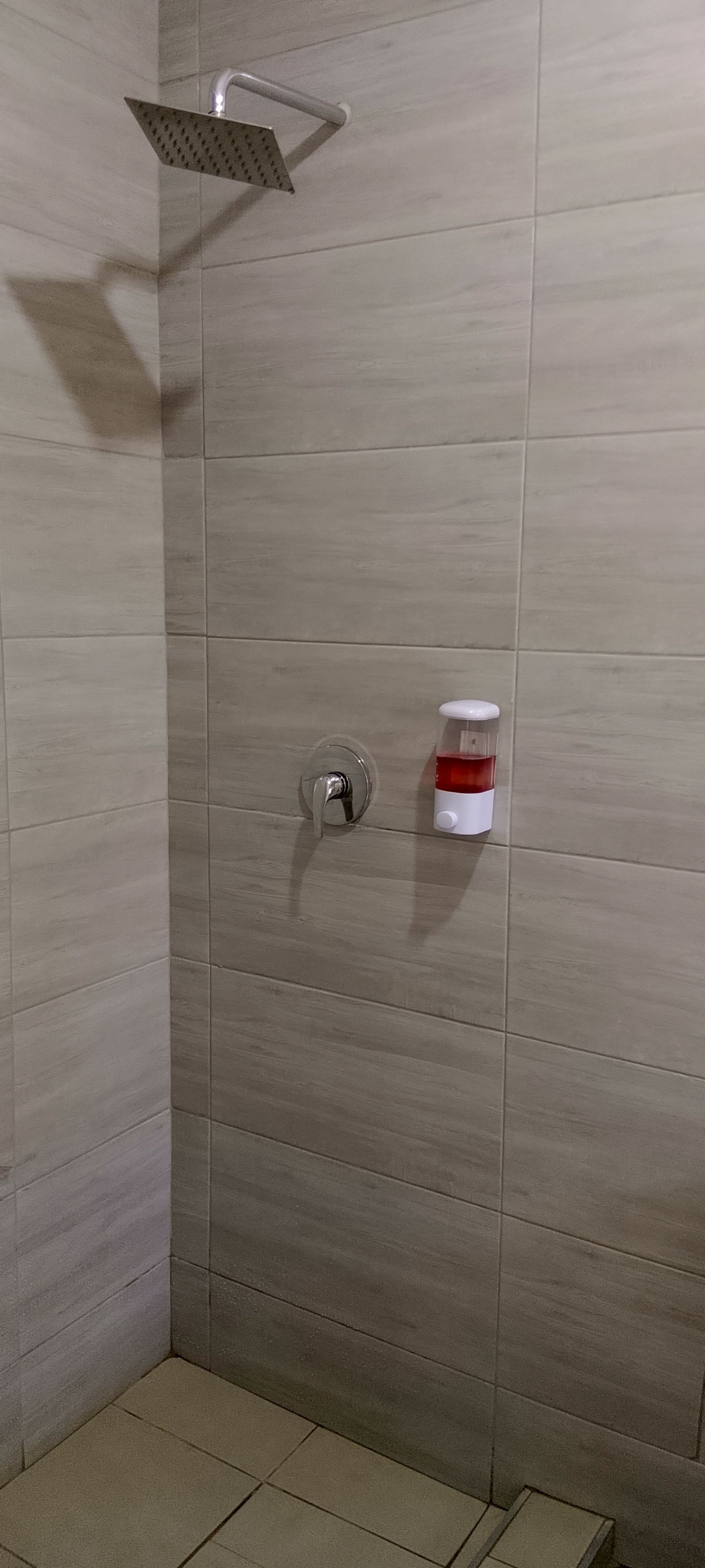 Un espace douche équipé d’une pomme de douche à effet pluie et d’un distributeur de savon.