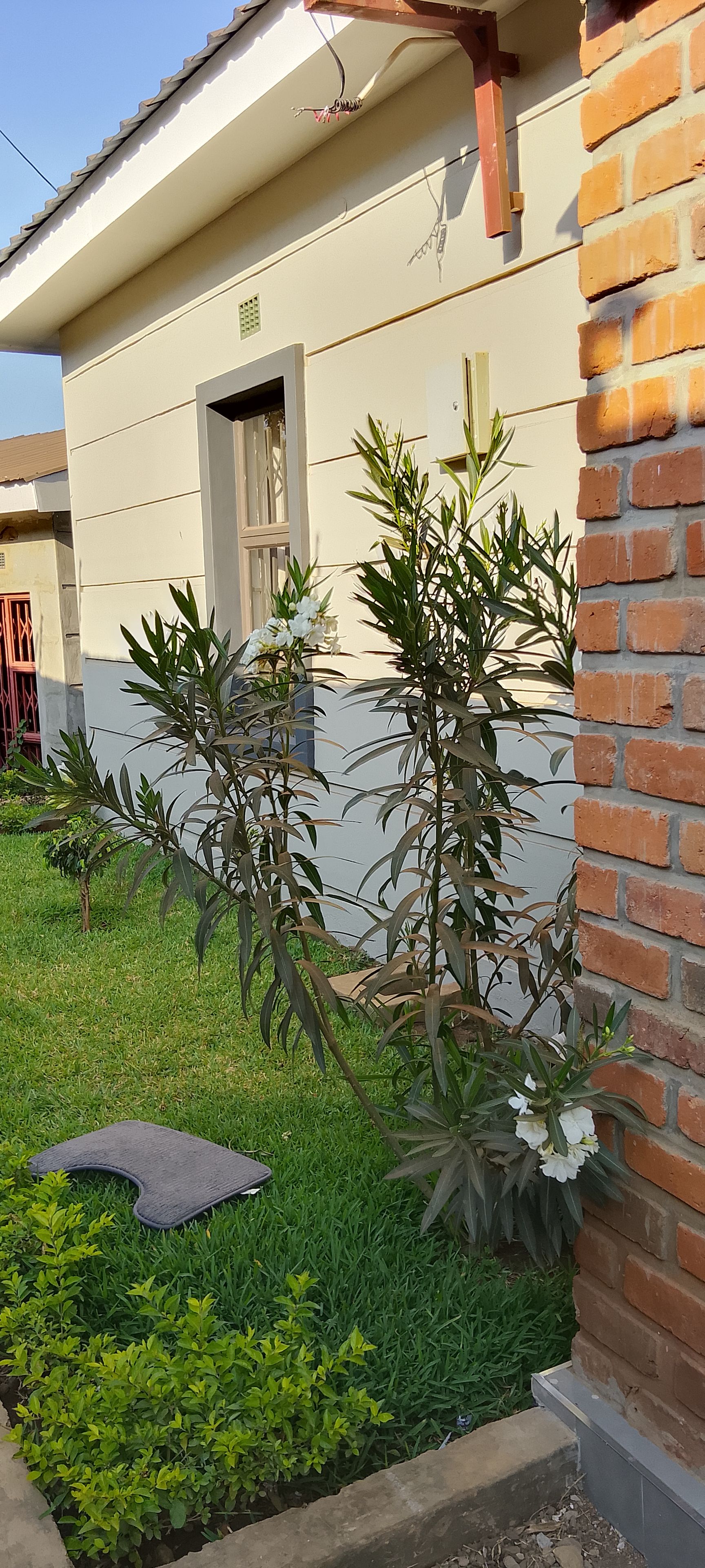 A residential building with a white exterior, a brick section on the right, and a small garden area with green plants and a grey mat.