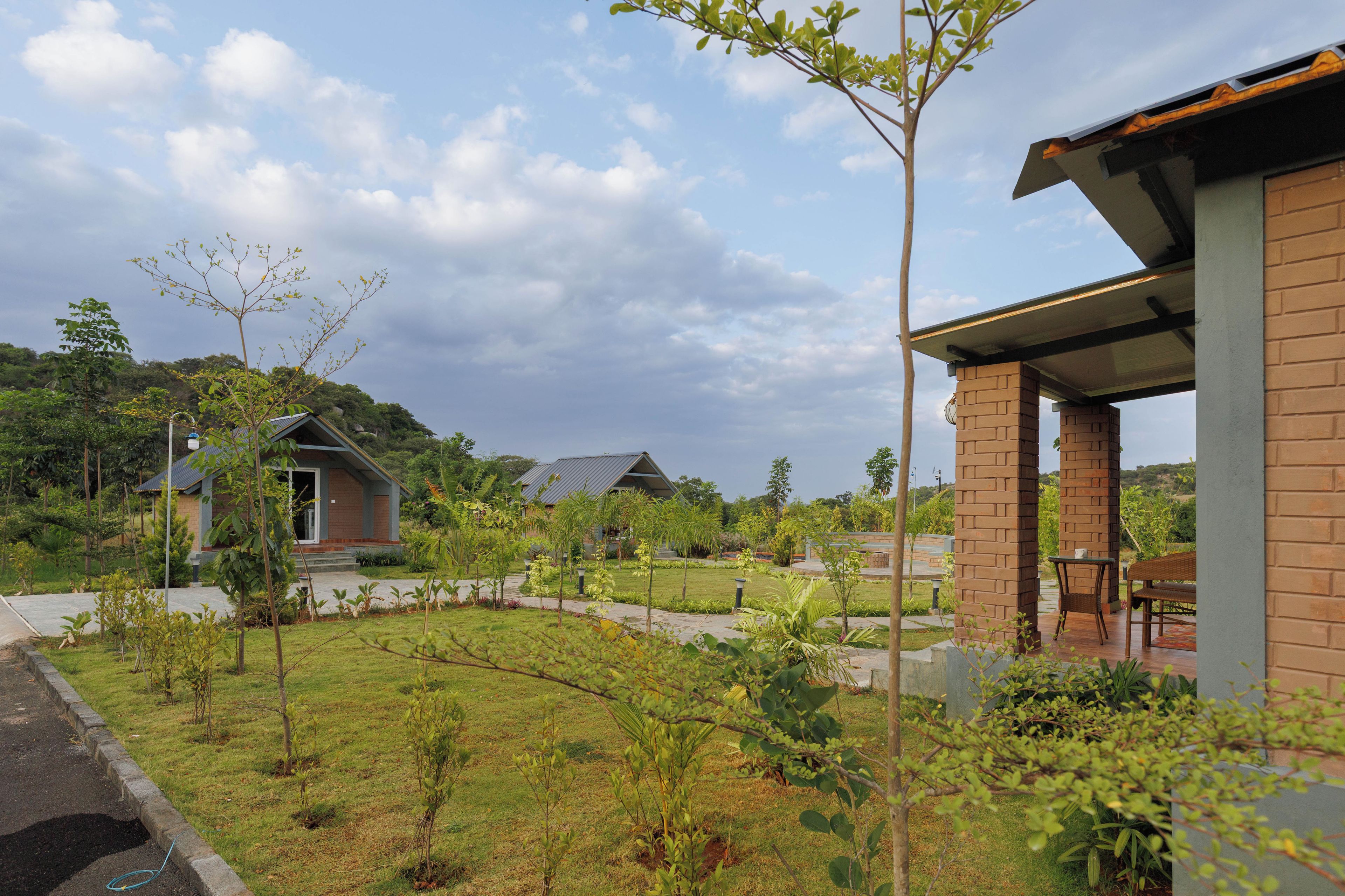 A residential area with brick houses, a paved walkway, and lush greenery.