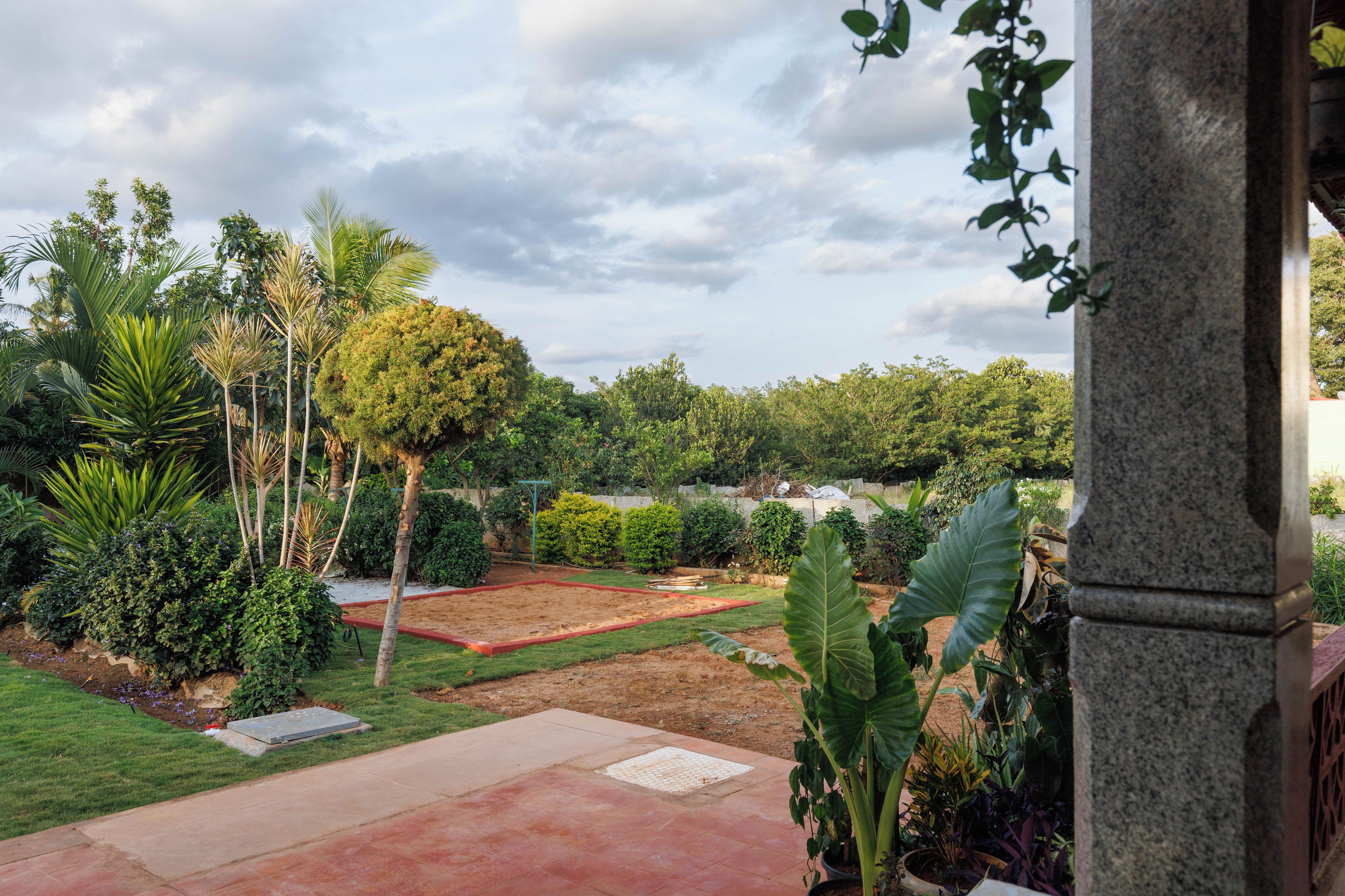 A garden with a variety of plants and a paved area.
