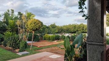 A garden with a variety of plants and a paved area.