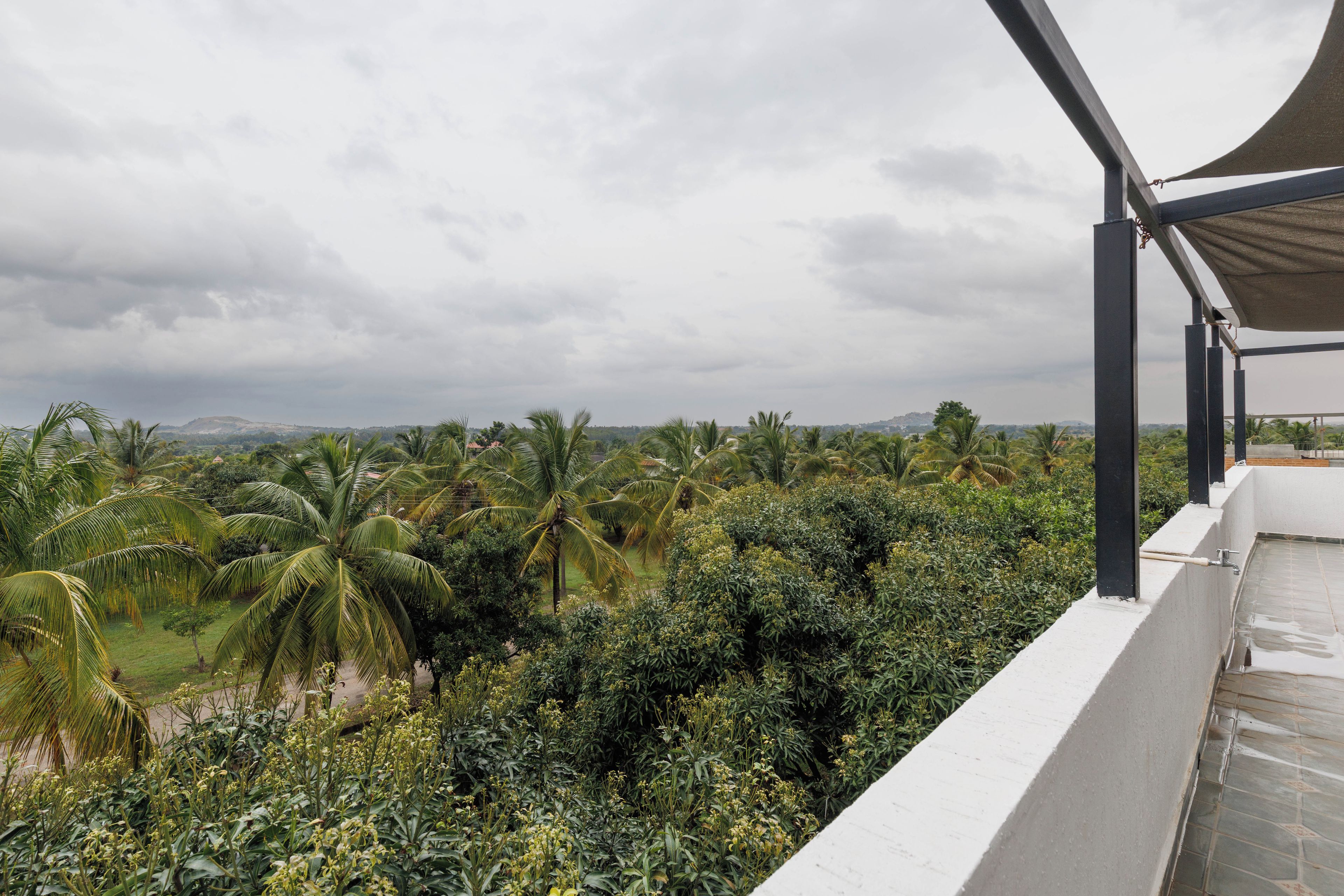 A balcony with a view of a lush landscape, including palm trees and other vegetation.