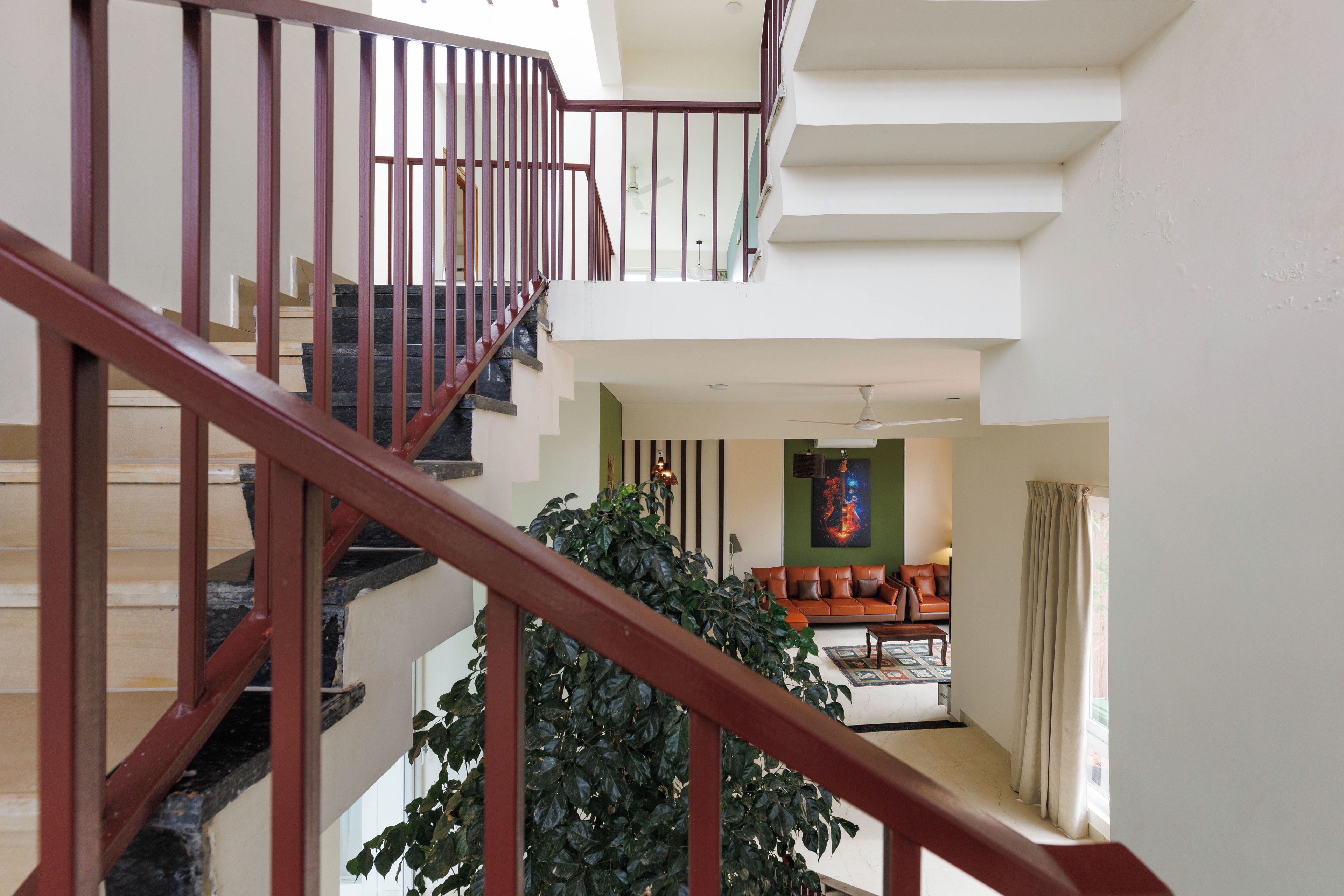 A multi-level interior with a staircase, a living room, and a large plant.