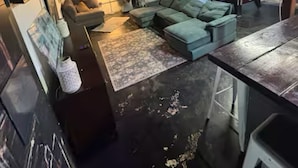 Living area - Art Studio in DOWNTOWN Channelside (Tampa)