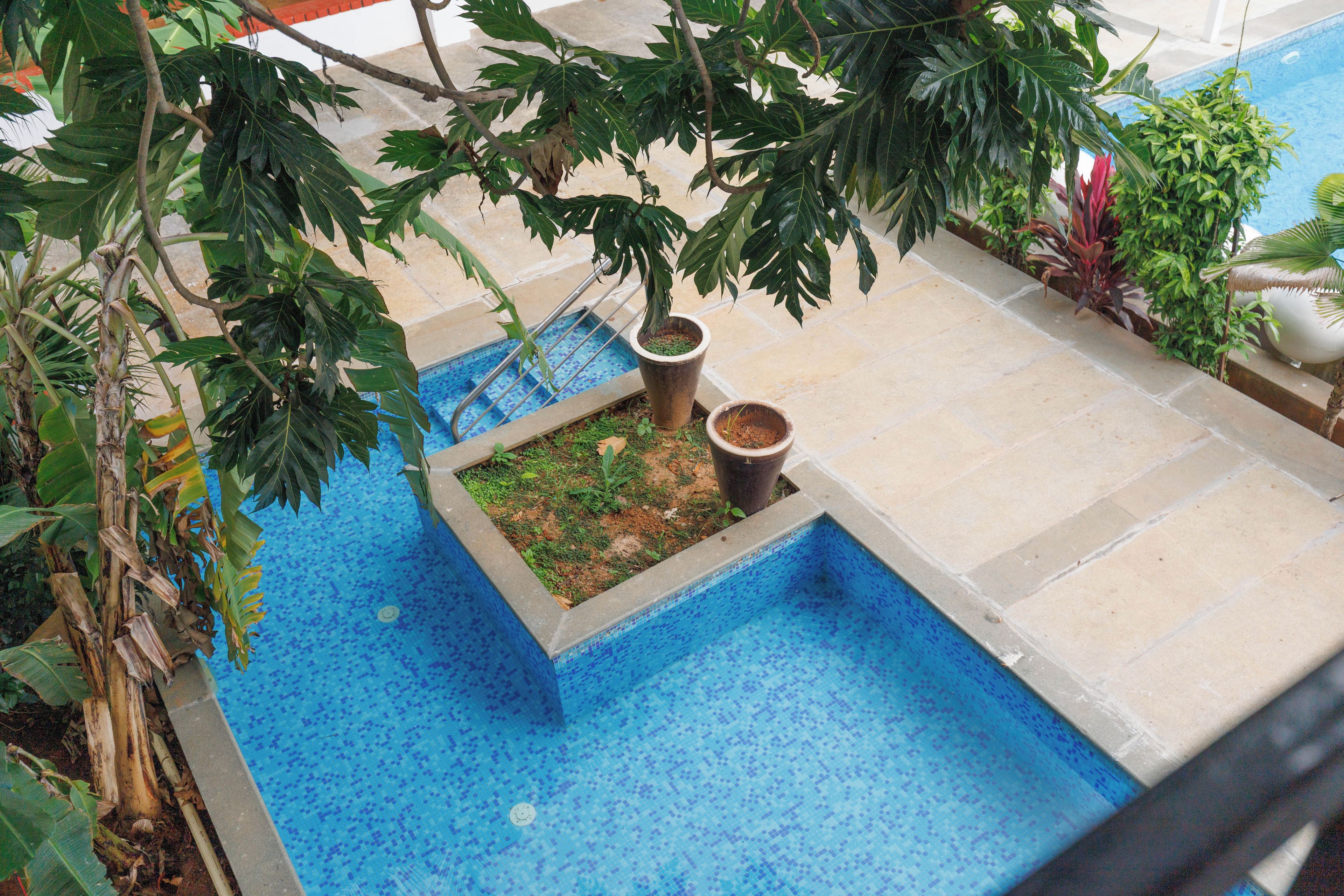 A swimming pool with a tiled edge, surrounded by potted plants and a stone pathway.