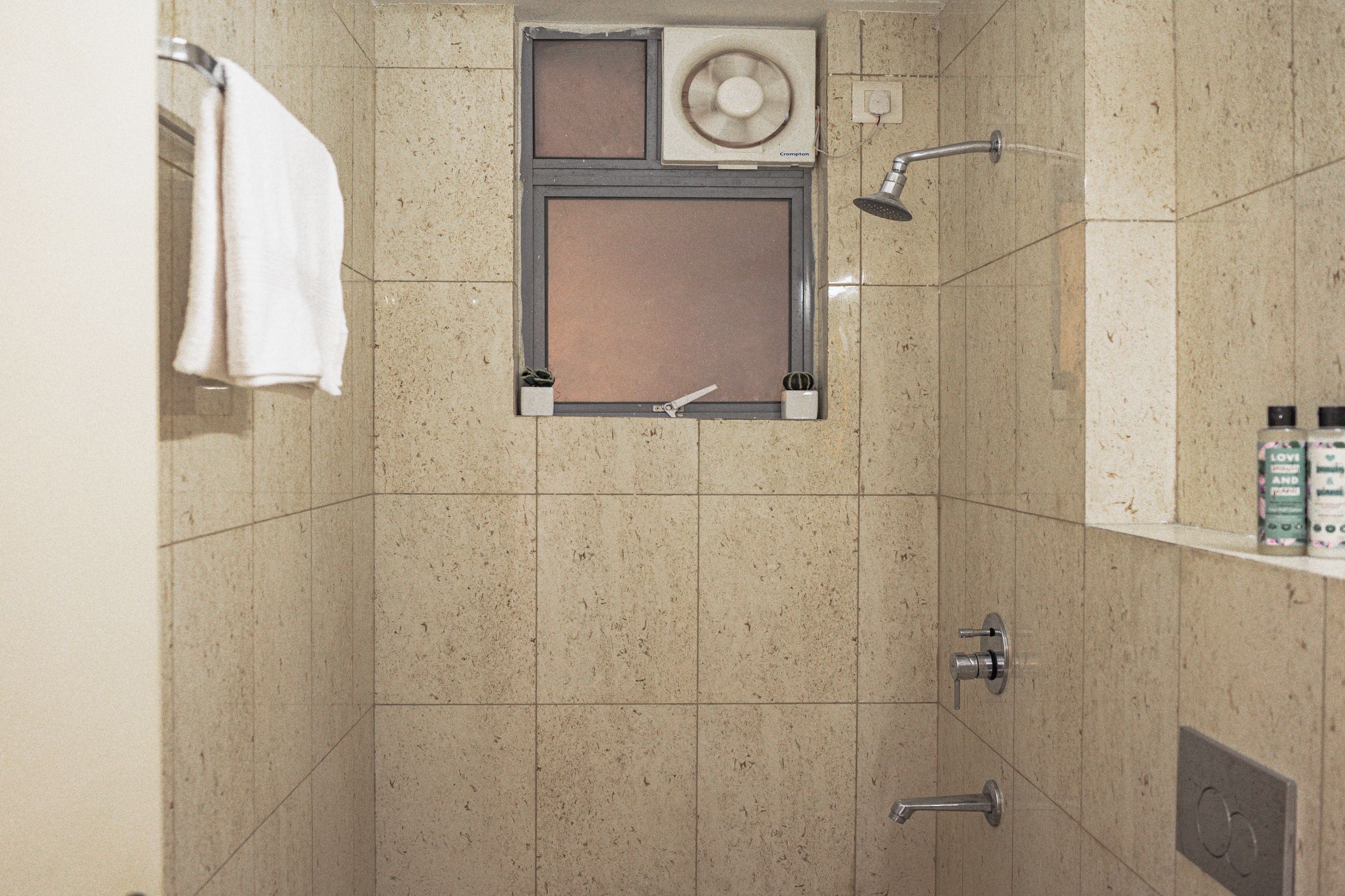 A bathroom with a shower, a towel rack, and a small plant.