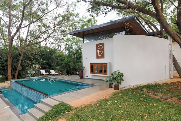 A modern house with a swimming pool, a patio with chairs, and a large tree.