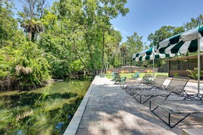 A paved walkway beside a calm water body, lined with green and white striped umbrellas and lounge chairs, surrounded by lush greenery. - Pelican House: Waterfront w/ Paddleboat and Kayaks (Homosassa)