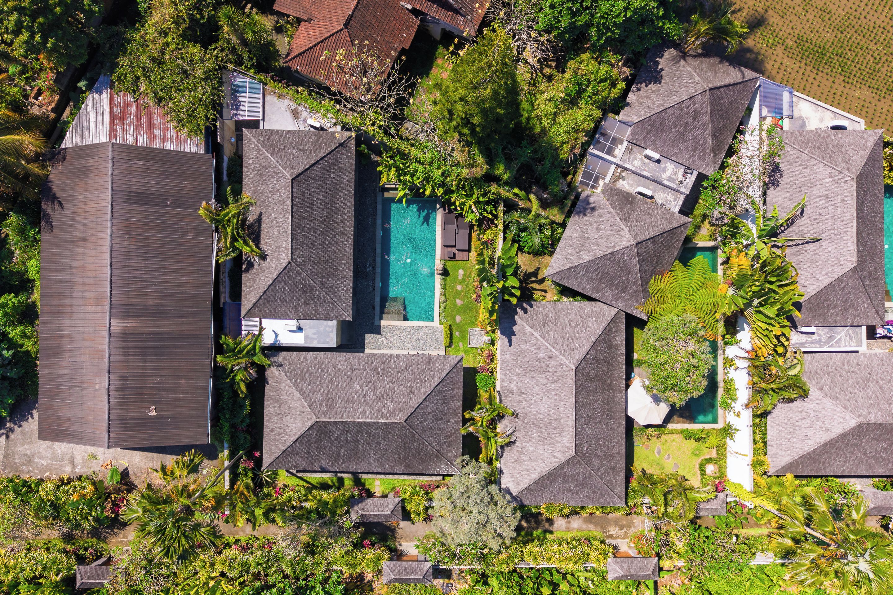 Vista aérea de un barrio residencial con varias casas, cada una con un diseño de techo diferente, rodeado de vegetación exuberante y una piscina.