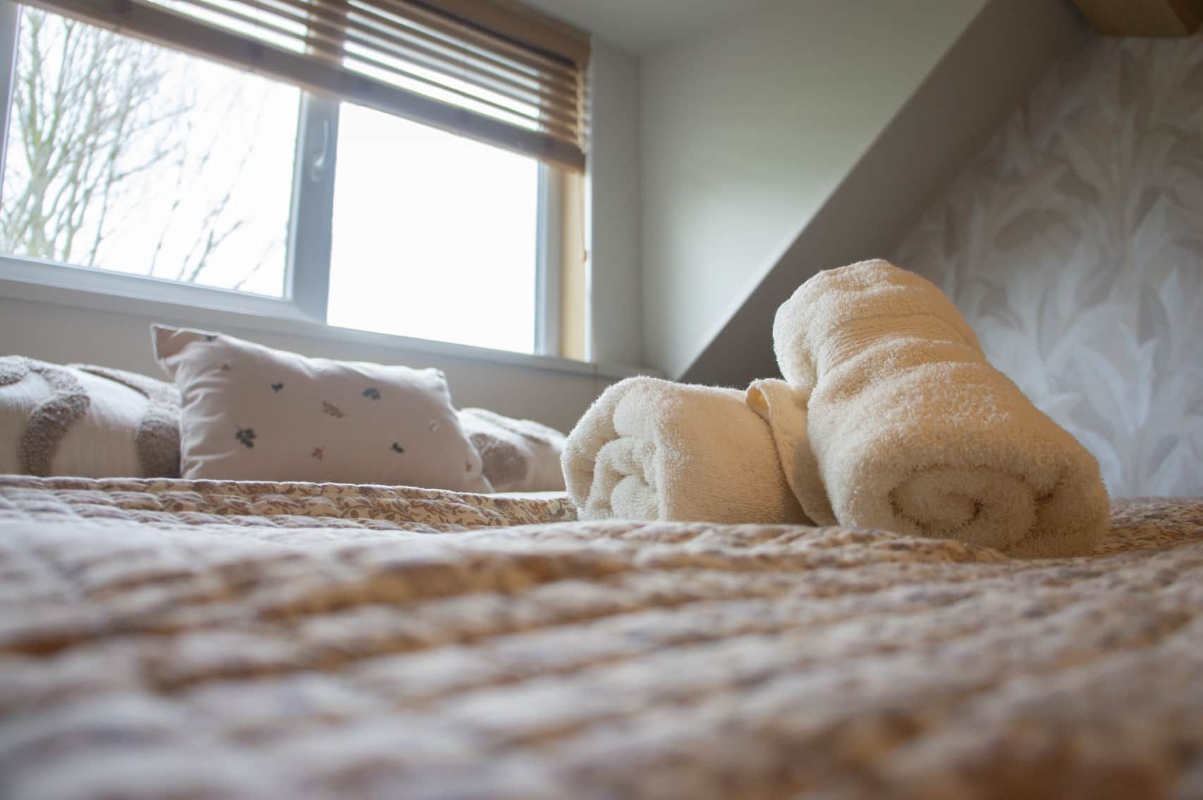 WiFi, bed sheets