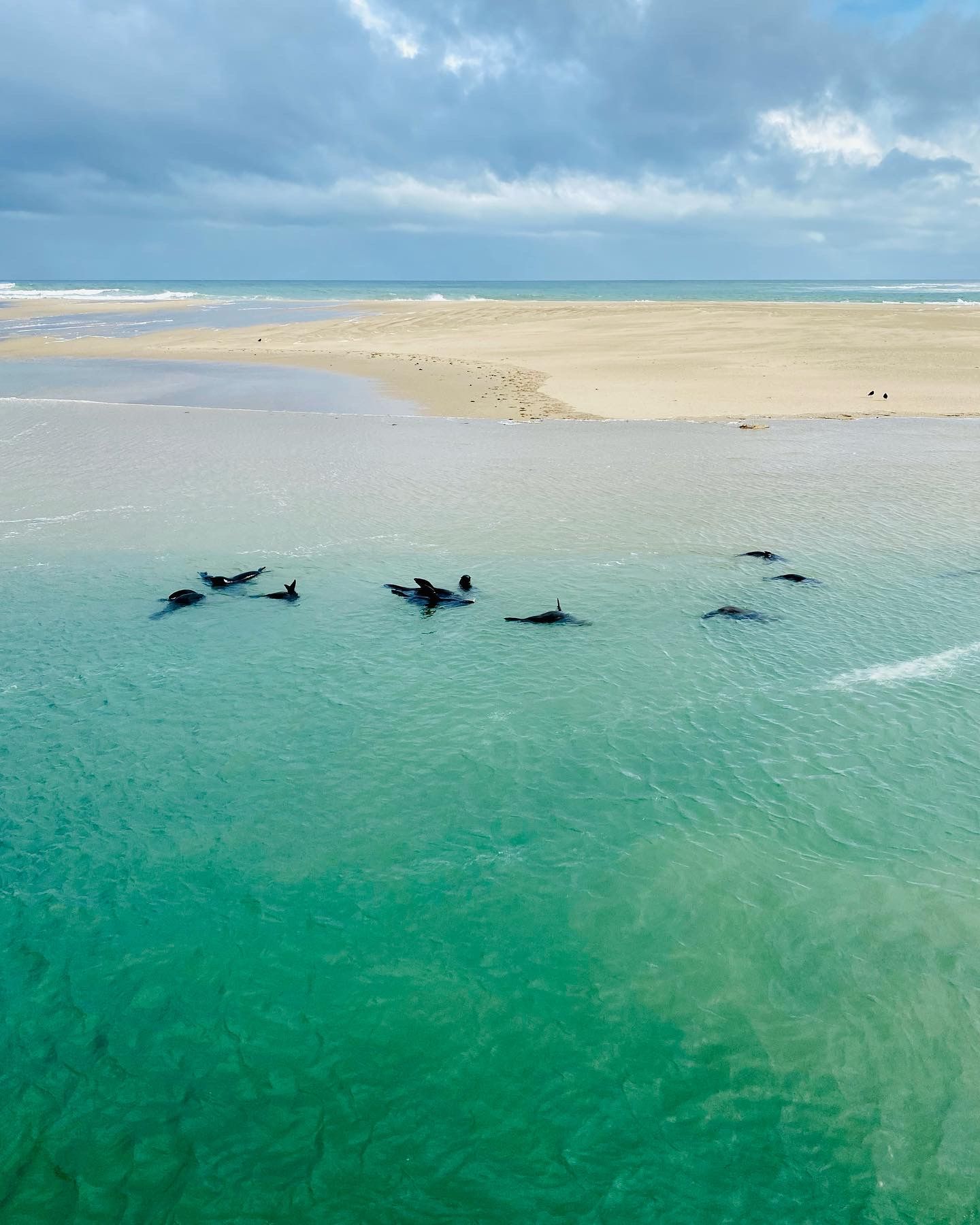 Une plage à l’eau turquoise et limpide, bordée d’un rivage sablonneux.