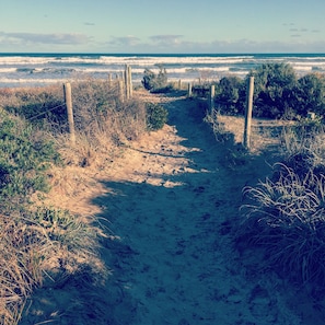 A sandy beach path leading to the ocean with wooden posts and vegetation on either side.