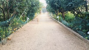 A dirt pathway flanked by green foliage and wire fencing, leading to a gate. - Tulip Garden And Resort (Bichhiya)