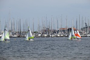 Ein Yachthafen mit mehreren Segelbooten und einer Skyline im Hintergrund.