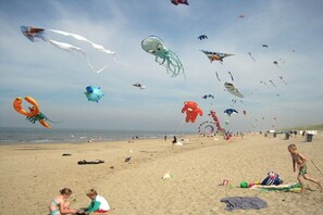 Una playa con varios cometas volando y gente en la arena.