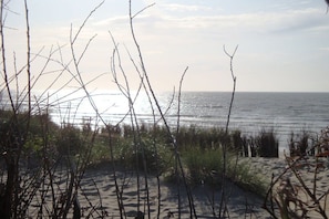 Ein Strand mit Dünen und spärlicher Vegetation.