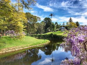 A serene riverside park with a calm water body, lush greenery, and a clear sky. - Spacious 2-Bed Apartment Near Parramatta CBD (Parramatta)