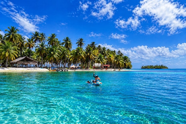 A beach with clear turquoise water, palm trees, and a small hut.