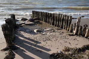 Ein sandiger Strand mit einer Holzlattenzaun und Treibholz.