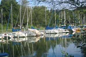 Ein Yachthafen mit mehreren Segelbooten, umgeben von Bäumen.