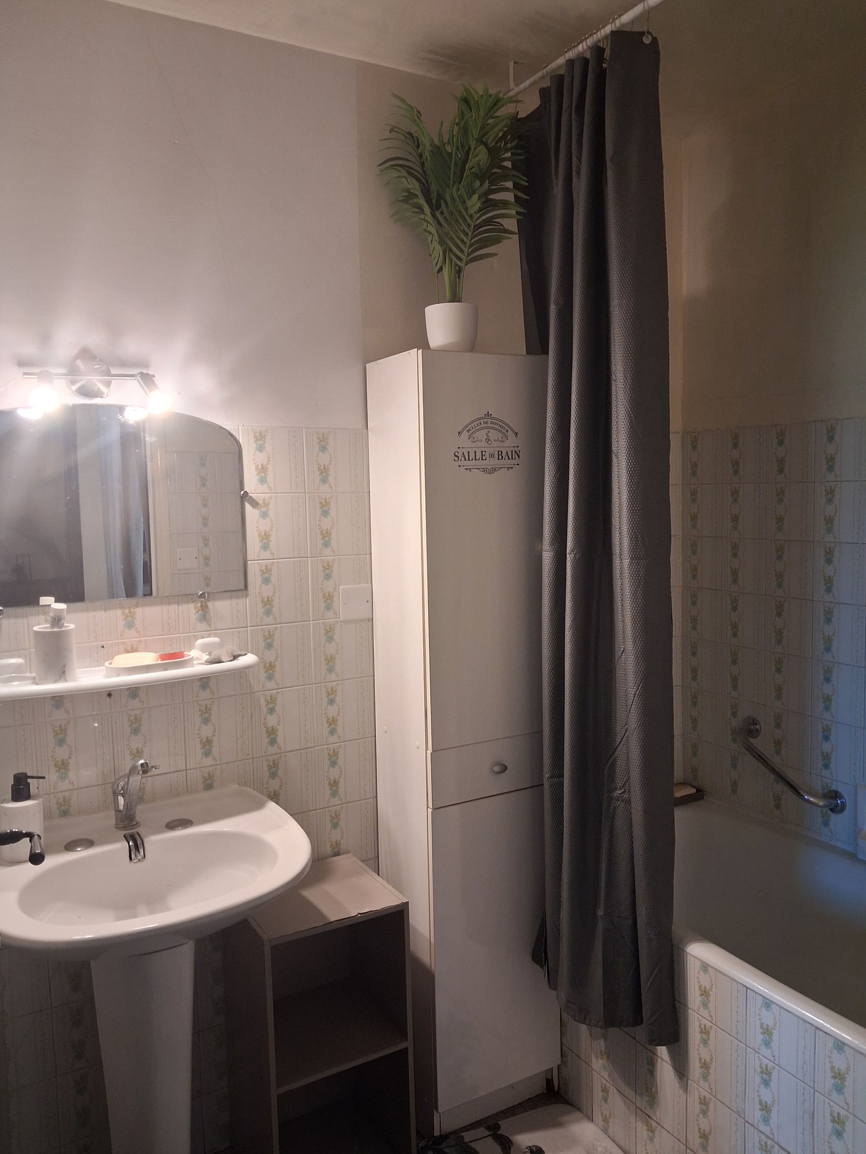 Een badkamer met een wastafel, spiegel, douche en een kast met een plant erboven.