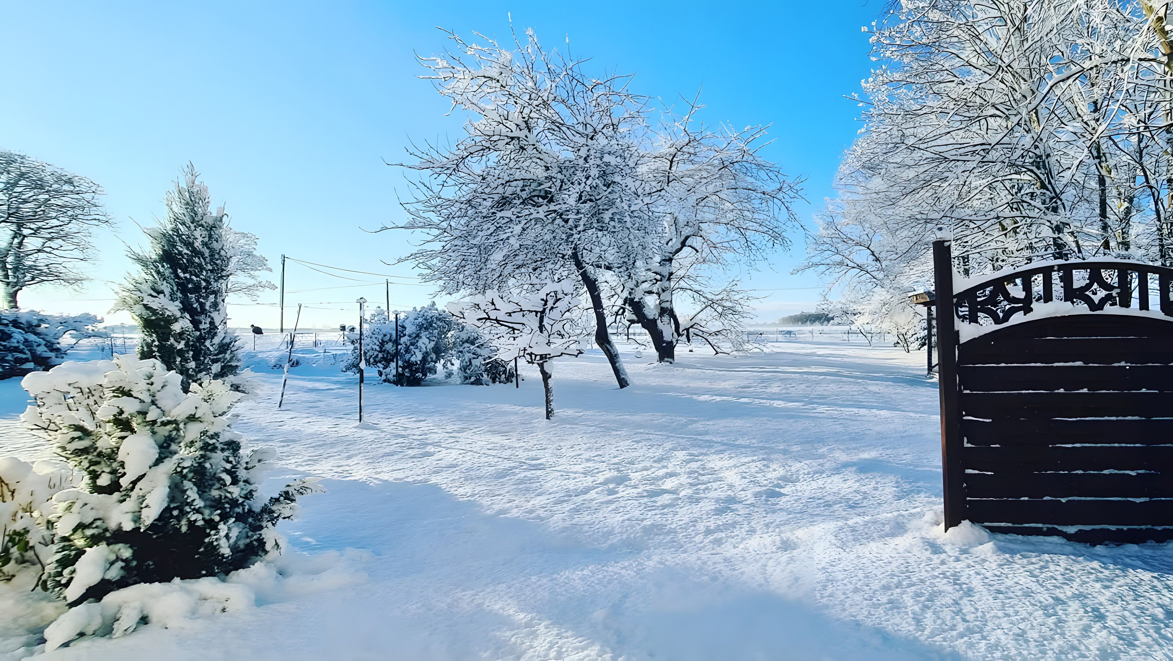A snow-covered landscape with a gated entrance, trees, and a clear sky.