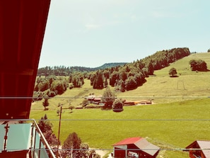A rural landscape with a red-roofed building, a grassy field, and a forested hill.