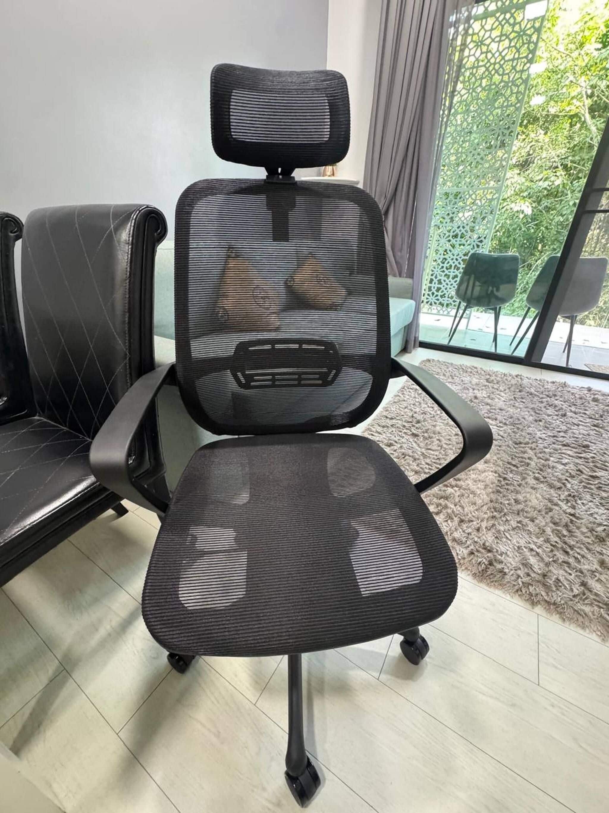 A black office chair with a mesh backrest and armrests, positioned in a room with a large window and a view of greenery outside.