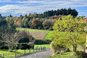 A rural landscape with a paved path, trees, and a fence. - Schottenhof Walser 4 (Achberg)