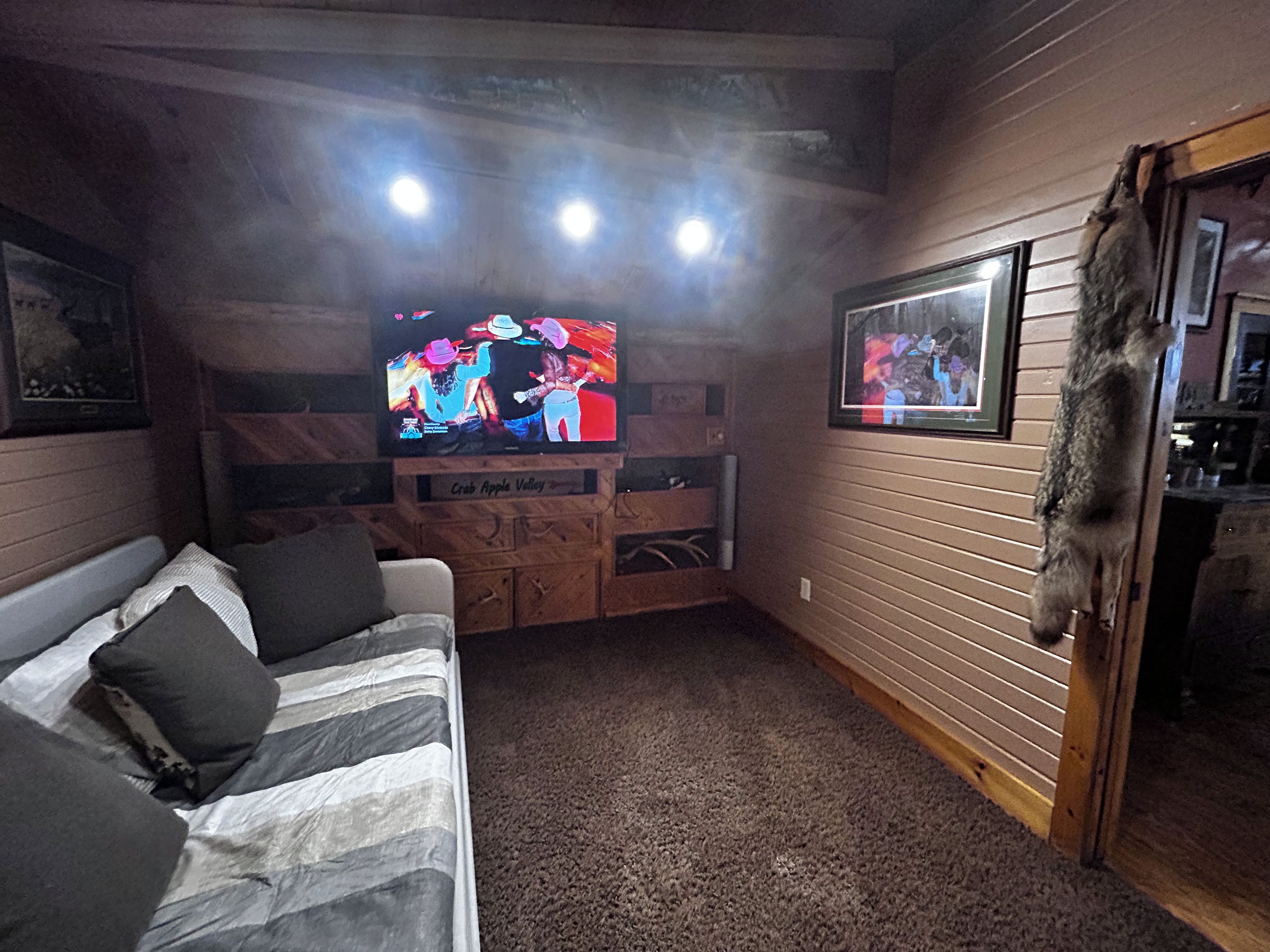 A cozy room with a television, a couch, and a wooden wall with a mounted animal head.