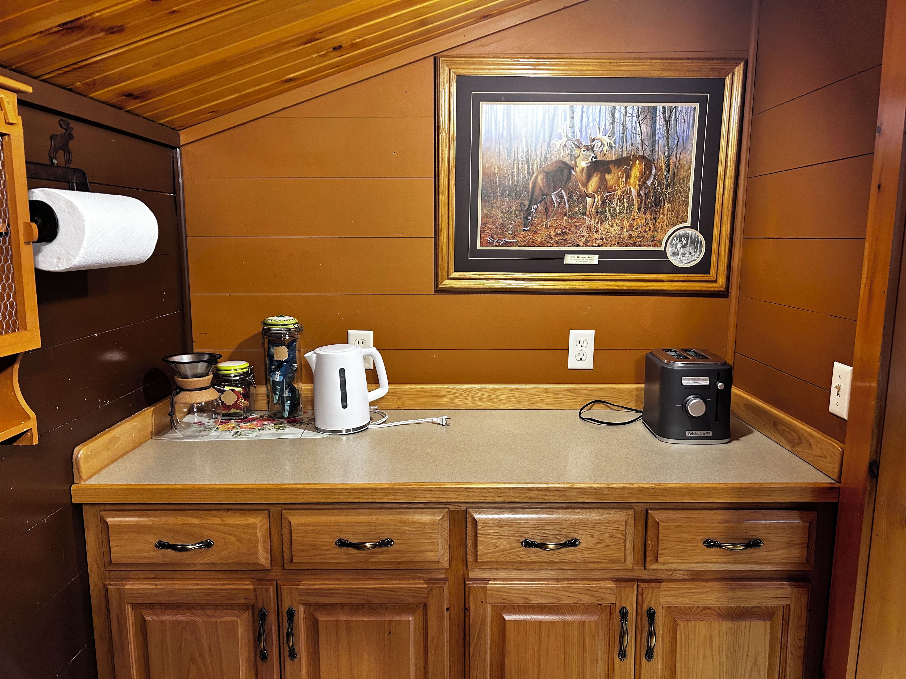 A kitchenette with a countertop, a kettle, a toaster, and a framed wildlife painting.