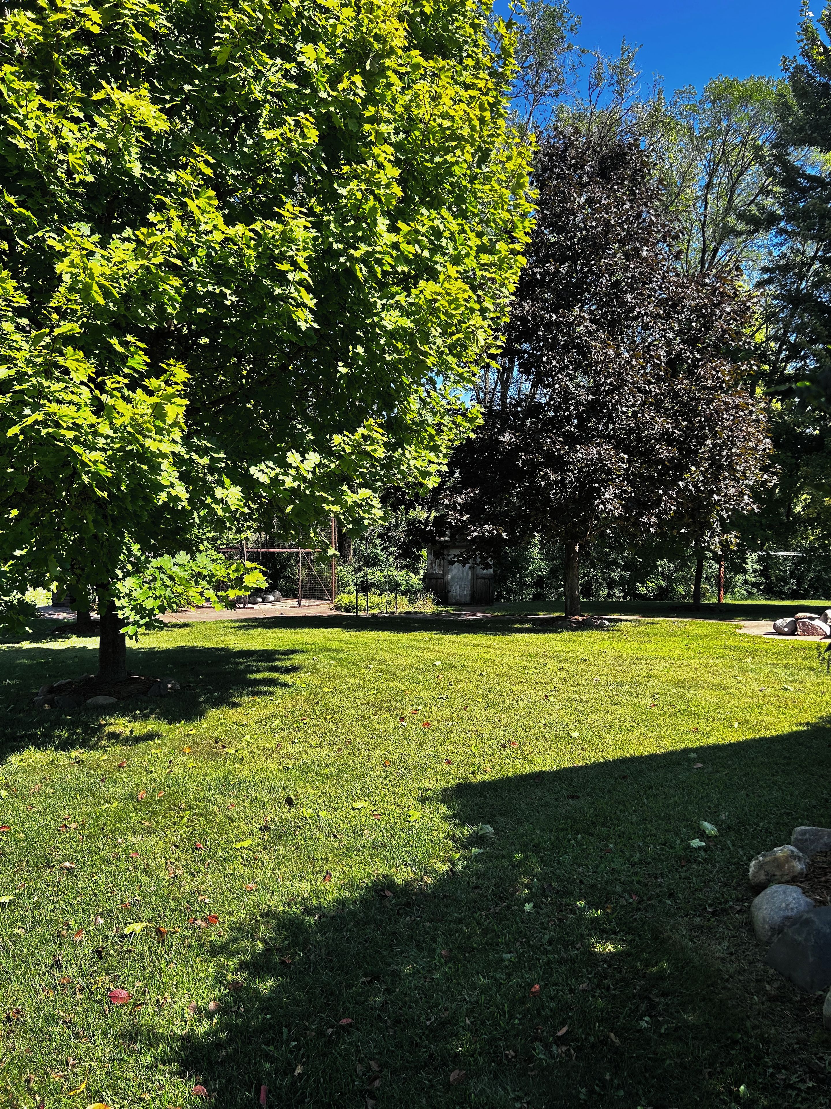 A well-maintained grassy area with trees and a fence in the background.