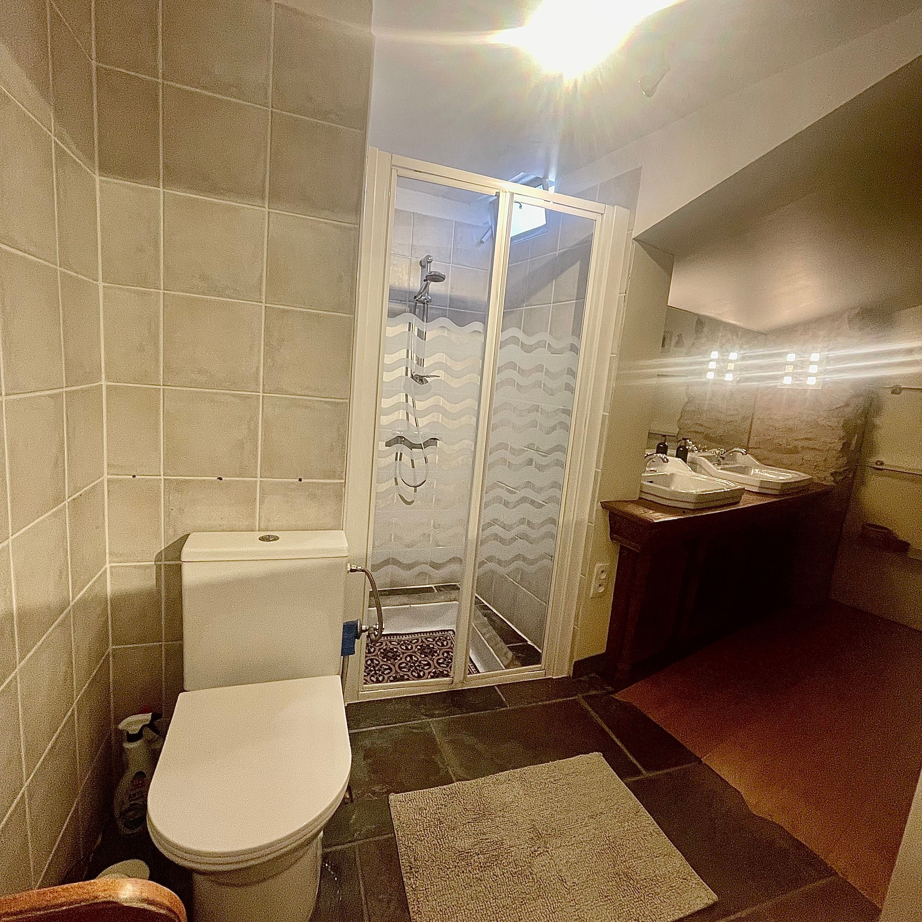 A bathroom with a toilet, a shower enclosure, and a sink area.