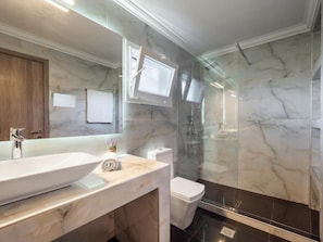 Un bagno moderno con un lavandino capiente, un water e una cabina doccia in vetro.