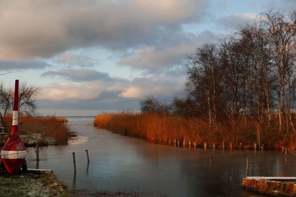 A calm river with a red buoy, surrounded by trees and a cloudy sky.