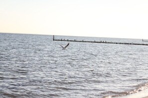 A body of water with a pier extending into it. - Sonnengarten 21 in Kellenhusen (Kellenhusen)