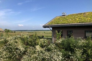 A house with a green roof, surrounded by white flowers and a view of a lake. - Painters' Corner Hohwacht (Hohwacht)